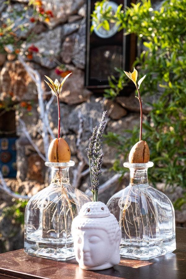 Casa Di Pietra Hotel Fethiye Bagian luar foto